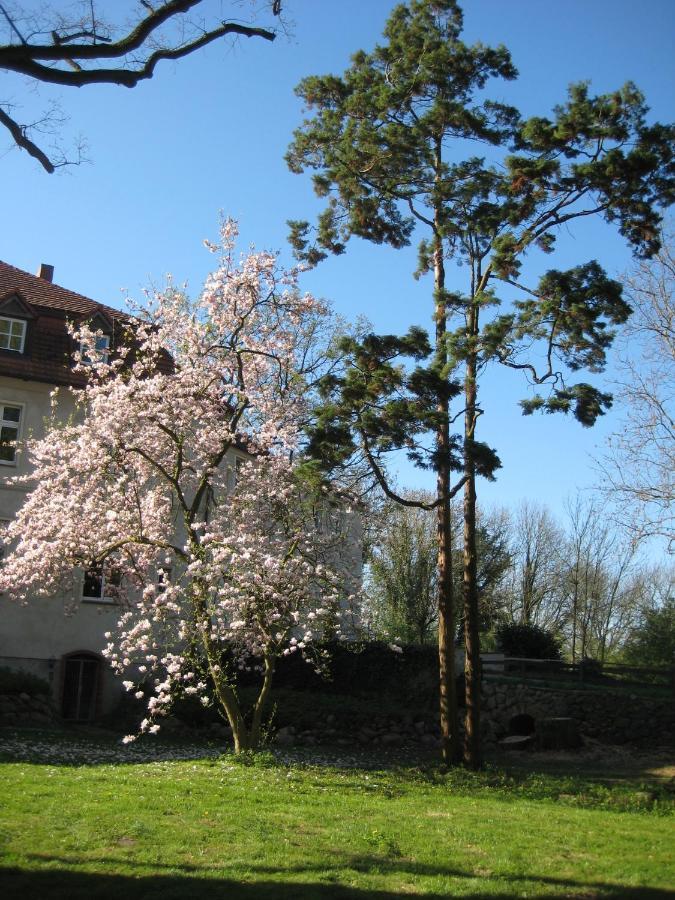 Gartenzimmer Im Schloss Neuhausen Neuhausen (Prignitz) Exterior foto